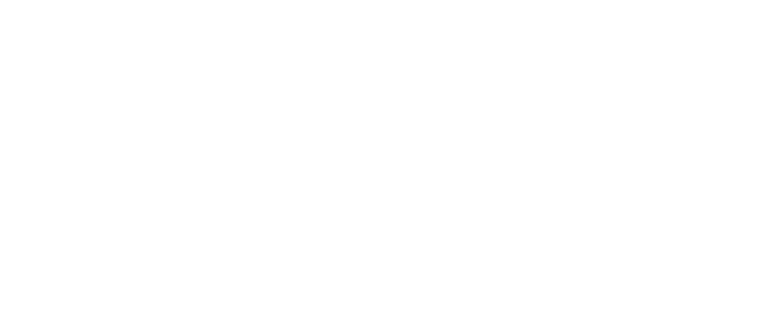 white everett-logo