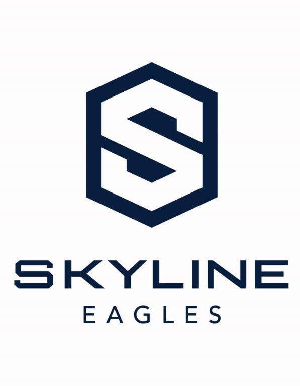 Getting Panorama Student Success off the Ground with Skyline High